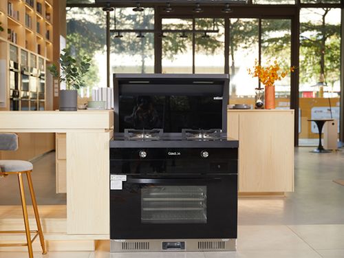 2021蒸烤集成灶品牌排行榜 哪款產品才是最適合您？小白必看廚柜指南